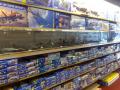 Model Shop Belfast image 3