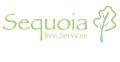 Sequoia Tree Services image 2