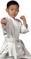 Alfa Karate Shotokan Club image 1