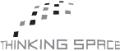 Thinking Space Systems Ltd logo