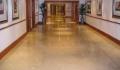 Axminster Restoration Services London - Floor Cleaning Restoration logo