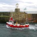 Anstruther Shellfish Company logo