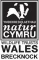 Brecknock Wildlife Trust logo