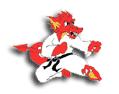 Seki Ryu Zan Karate Club logo