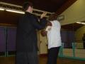 Lillie Road Wing Chun image 1