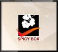 Spicy Box -  Best Indian Takeaway In Newcastle logo