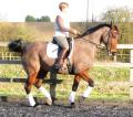 First Choice Dressage and Pilates for Riders image 2