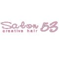 Salon 53 logo