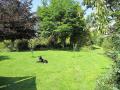 The Old Piggery - Dog Friendly Holiday Cottage image 4