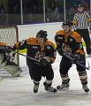 Telford Tigers image 2