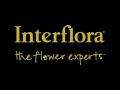 Hollow Park Florists logo