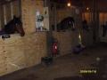 Steppes Farm DIY Stables and Livery Yard. image 2