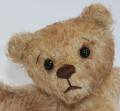 Brierley Bears image 4