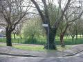 New Beckton Park image 7