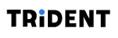 Trident Ltd image 1