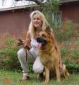DANESDALE PET AND PROTECTION DOG TRAINING CLASSES image 1
