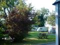 Fir Tree Caravan Site image 2