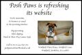Posh Paws Dog Grooming, Berkshire image 2