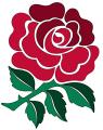 The English Rose image 4