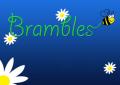 Brambles Floristry logo