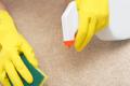 Wilson-Ash Cleaning Services image 2