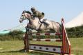 Camborne Show image 2