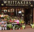 Florist - Whittakers image 1