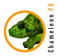 Chameleon PR logo