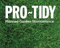 Pro-Tidy logo