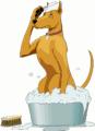 CANINE CUTS DOG GROOMING logo