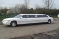 1stavenue limousines image 1