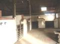 New Mill Farm Stables image 2