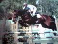 John Shaw Equestrian Ltd Riding School image 1