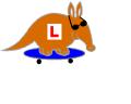 Aardvark Driving School logo