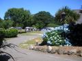 Carlyon Bay Camping Park image 1