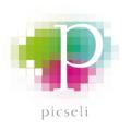 Picseli - Web Site Design and Development logo