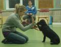 Puppy School image 2