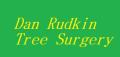 Dan Rudkin Tree Surgery logo