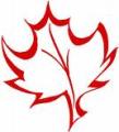 Maple Carpentry logo