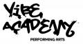 Vibe Academy logo