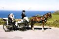 Marriage by Horse and Carriage image 1
