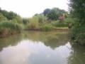 Acorn Wood - Campsite - Caravanning - Fishing image 2