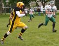 Carrickfergus Knights American Football Club logo