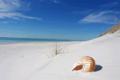 Simply Global Properties Ltd image 1