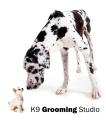 K9 Grooming Studio logo