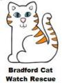 Bradford Cat Watch Rescue Kittens logo