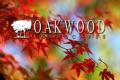 Oakwood Landscapes logo