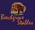 Beech Grove Stables & Doggy Fun Park logo