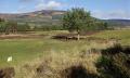 Golspie Golf Club image 3