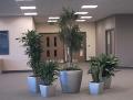Plantasia Displays Ltd image 7